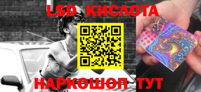 шишки Гатчина