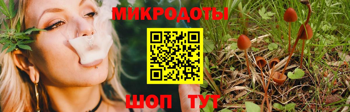 Галлюциногенные грибы Cubensis  Псилоцибиновые грибы Psilocybine cubensis  Вход с VPN  Новороссийск 